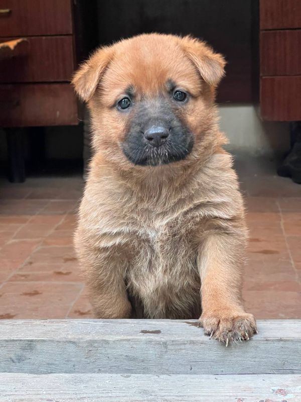 ����� ����������: �� �������� ����������, ��� � ����� ���� ��� �������������