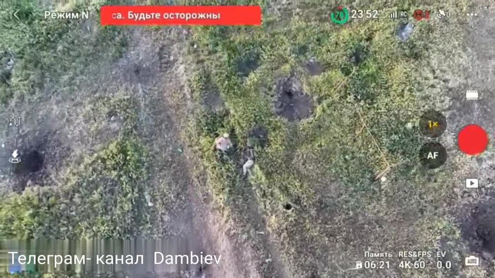 ��������� ���������� "���������" ������ ���������� �������� ����������� � ������� �� ������������ �����������