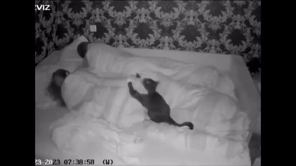 �� �����, ��?. ��������-����� ���������� �������