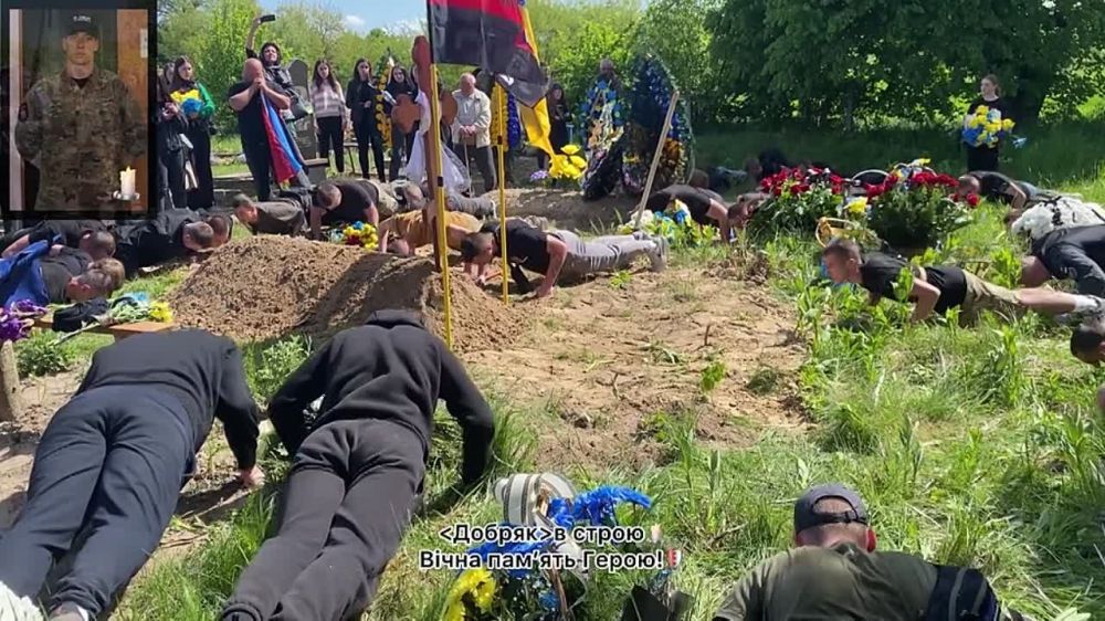 ��� �� ������?. ���������� ������������, ������������. ������������� � ��������. ��������� � ������