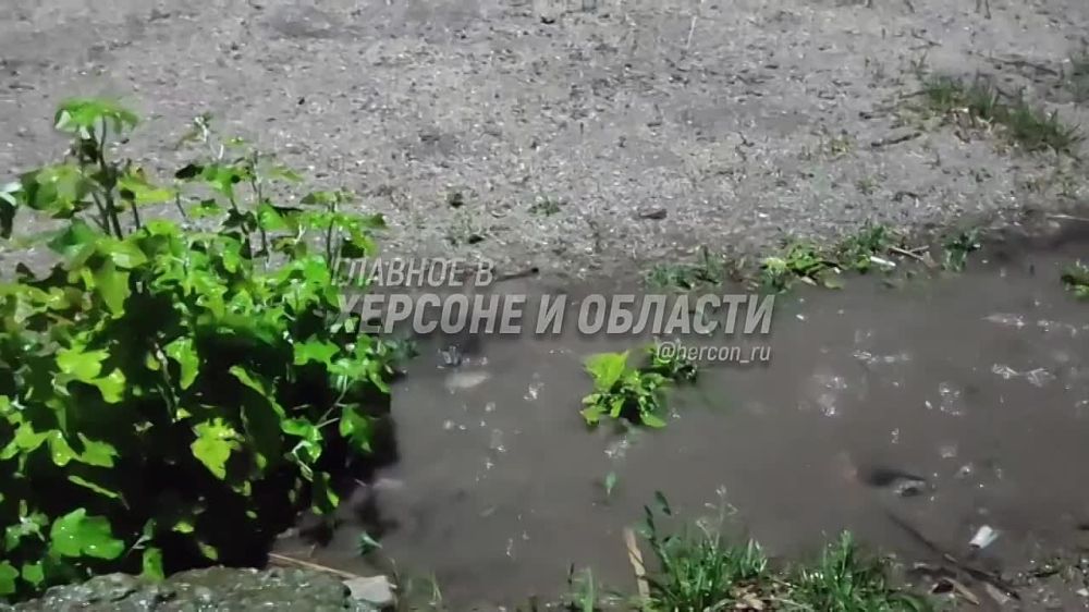 ����� � ��������� ����� � ��� ����� ������� ����� � ���������