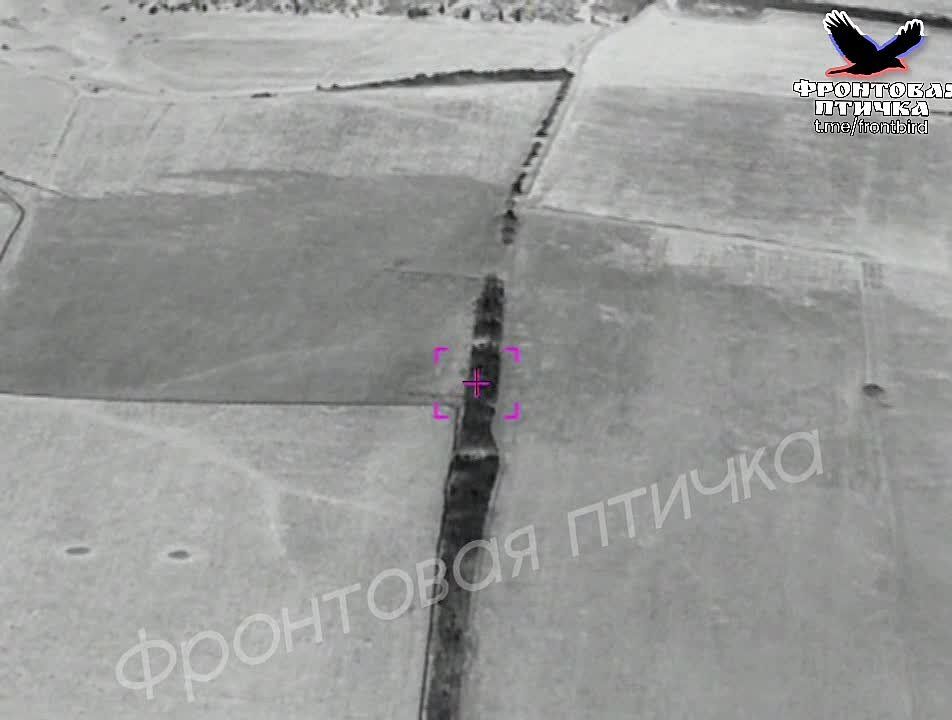 ���-250 ��� ������� �� �������� ��� � ����������� �������