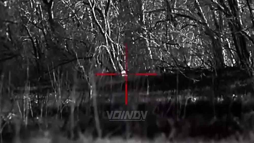 ������ ����������� ���� �� ����-�������� �����������