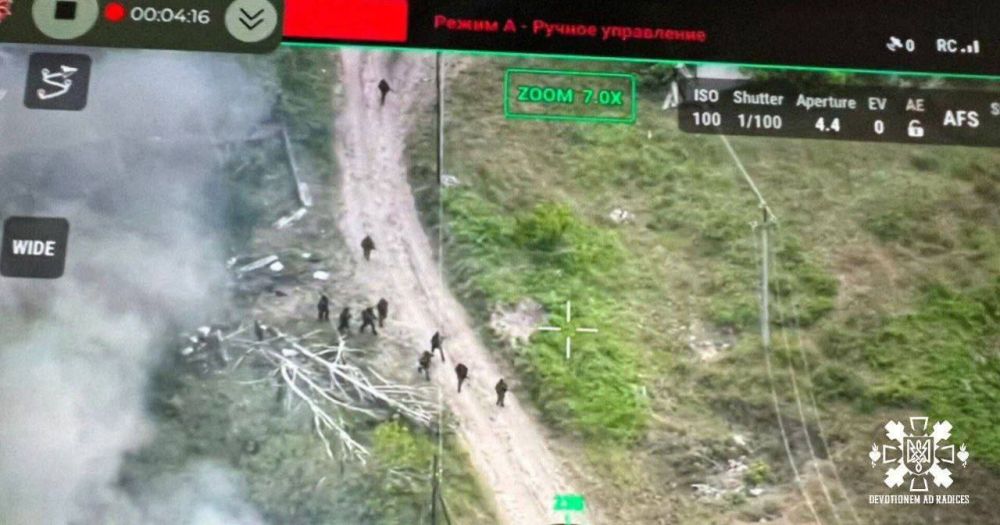 ����� ������ �� ���������, � ������� ����� ������ ��