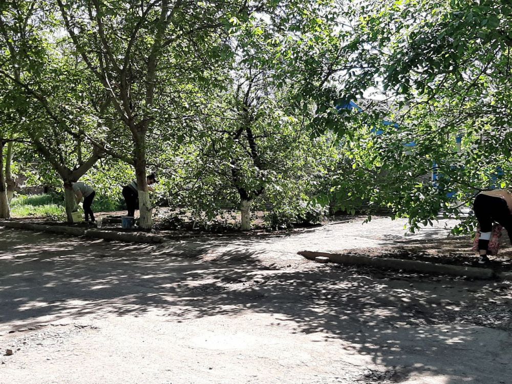 ���������� ������������� ����� ������������� � �������������� ���������� �������� �����