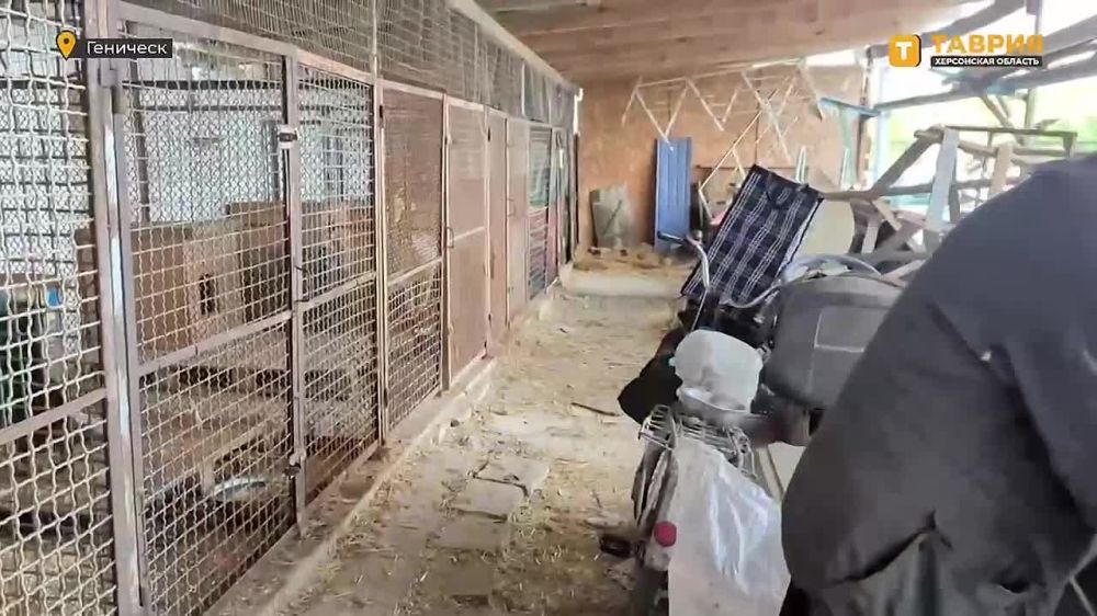 �������� ���������� ����� ������� � �������� ���� ��� ���������� �����