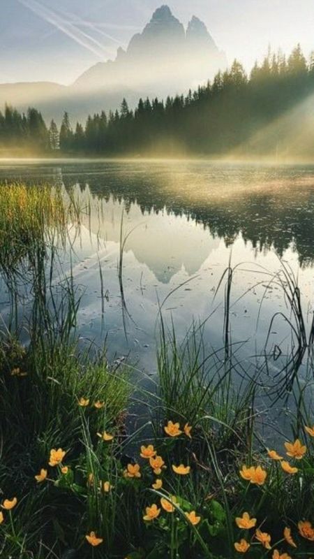 ������ ���� . ������� � ������� �� ���������� ����� ��� ����� ������ �������� ������. ��� �������. ����������� �� +5 ����� �� +15 ���