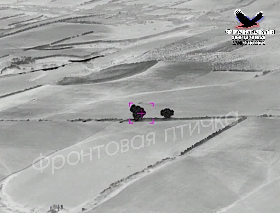 3 ���-250 �� ���������� � ��������� ��� � ����������� �������