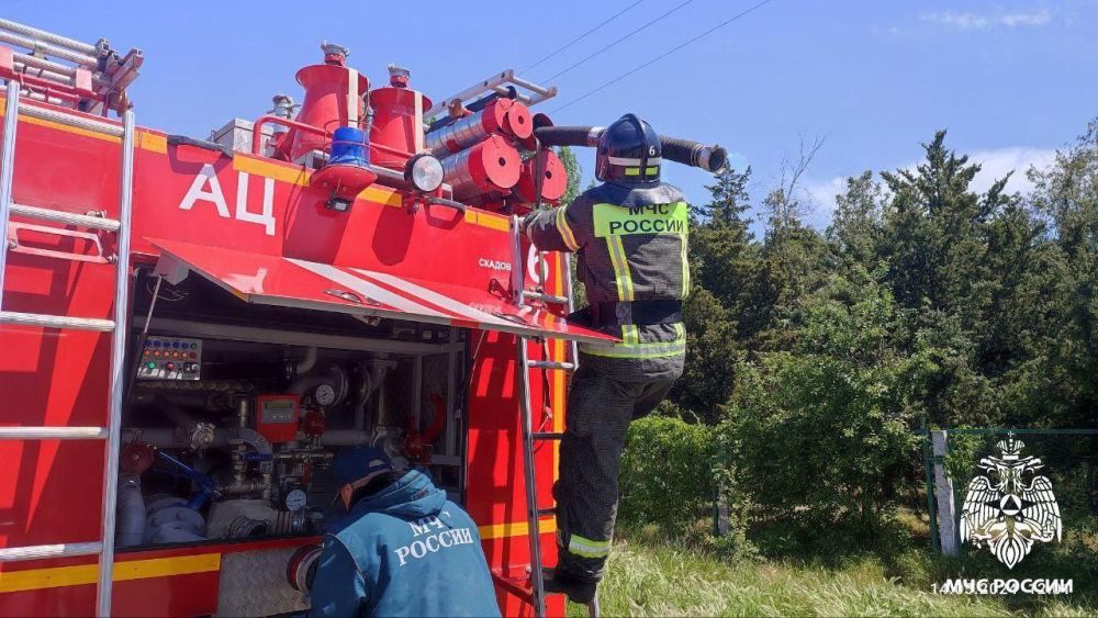 ����������� ���������� �� 14 ��� � ���������� �������