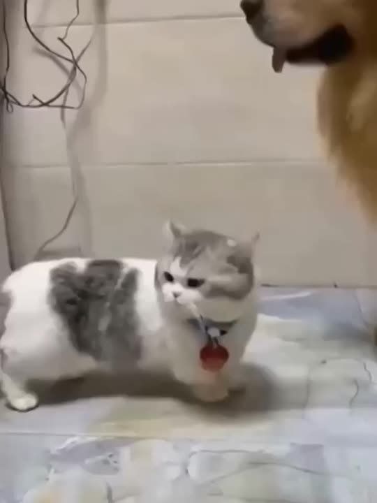 ����� ���� ���������� �����