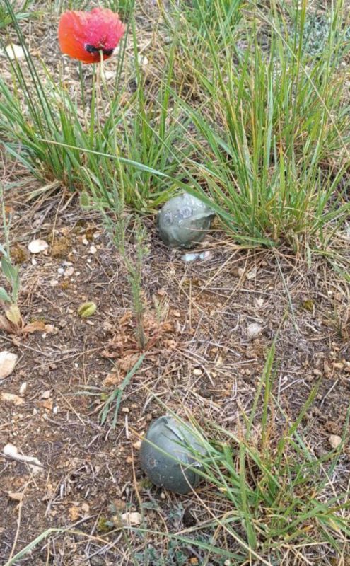 � ����������� ����� ������ ������ ����������� ���������������� �������������