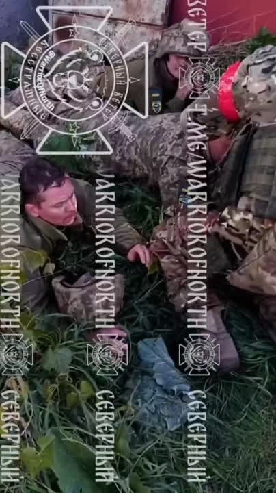 � ��������� ������ ��������� ����������� ������� ��� ���� ������ ���������� ������� ����������� ������� � ���� ���������� ������