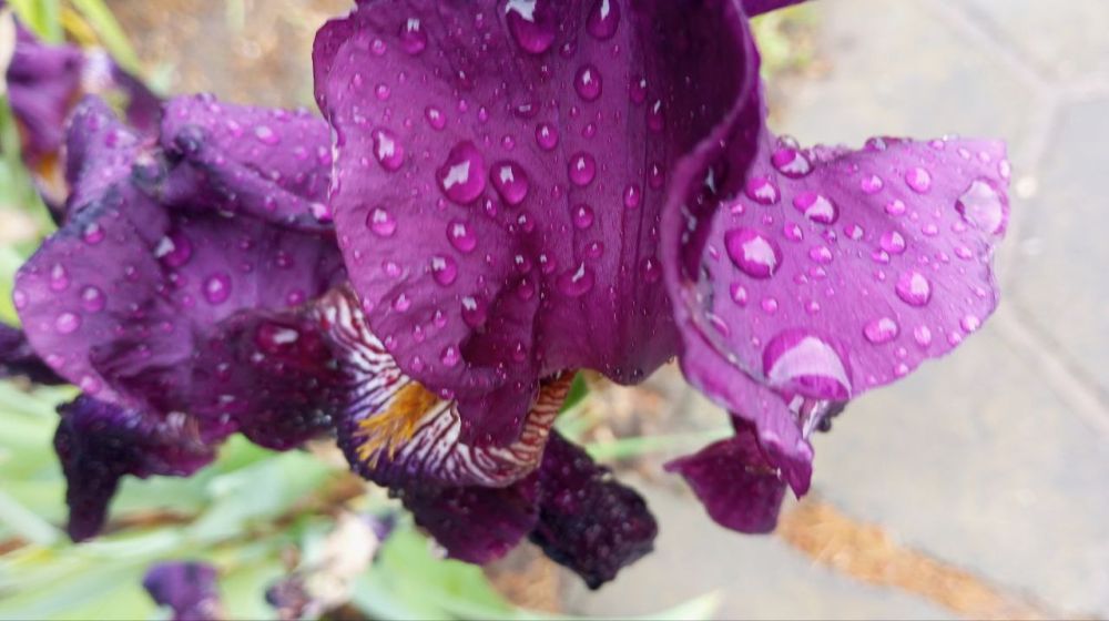 �������� ������ �� �����������