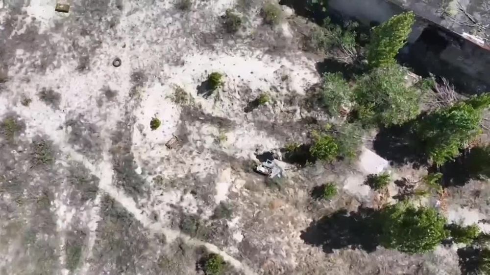 ������������� � �����. ����������� ������� ��