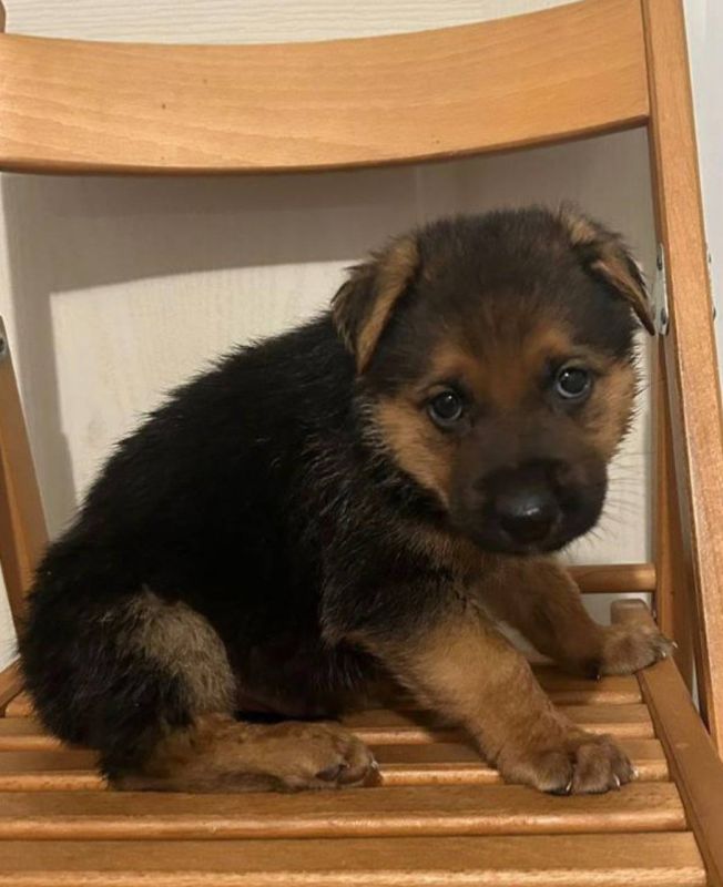 ����� ����������: ����� ������� �����!. ������� ������� ������� �� �������� ������! ���� ������, �������� �� ������ ���������� ������� ��� ���� �������� ������