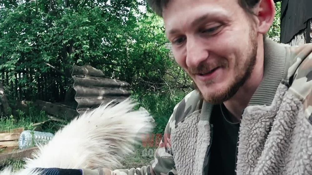 � ����-11 ����� ������ ��� �����