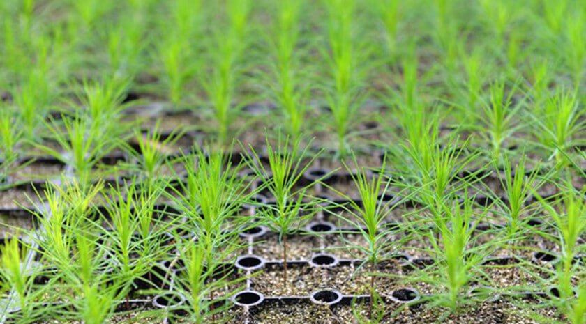 ���, ���, ����������� �������, ���������� �������