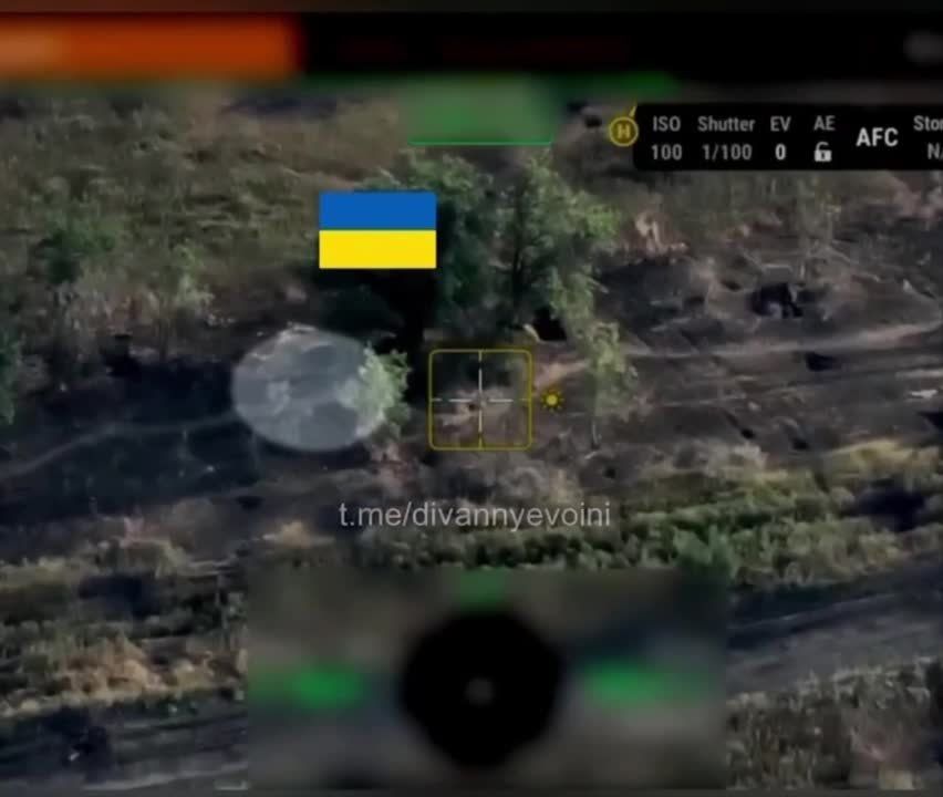 ��������� �������� � ������,�� ���� ���� �����