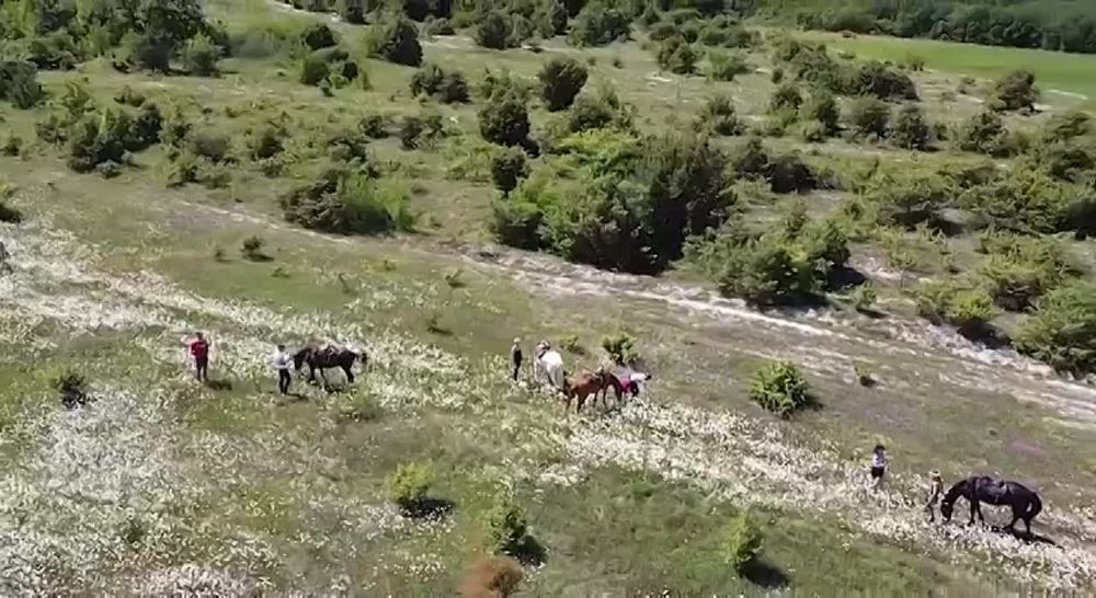 � ������ �����, �����������!