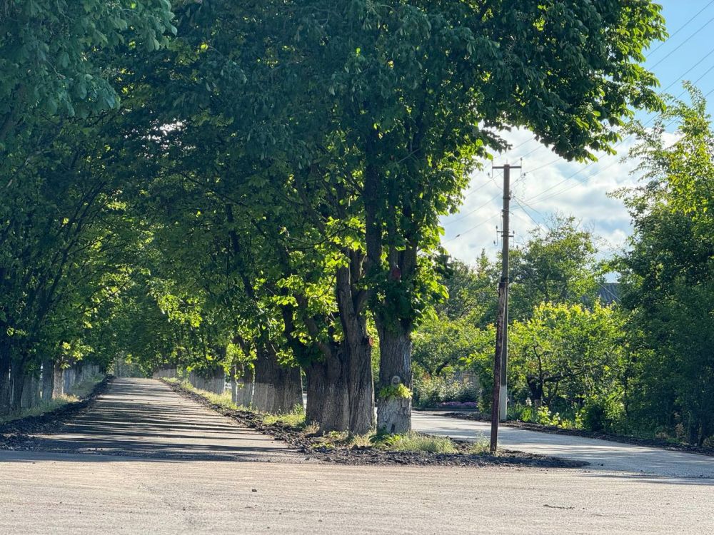 ������������ ������ ������ � �������� ���� � ���������� �������