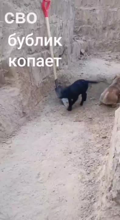 ������ ��� � �����. ������ �������� ����� ������ ������ �����