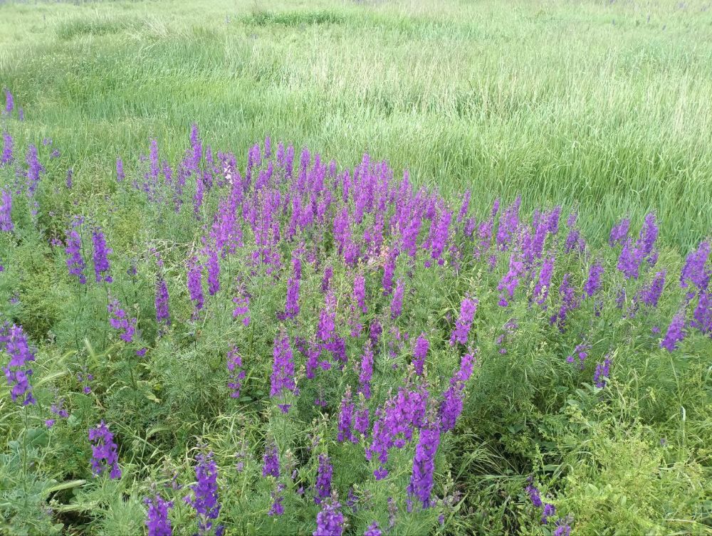 ������� ����� � ������