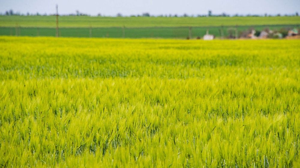 ������� ���������� ������ �� 50% ������ ��-�� ���������� ��������� ��� � ���������