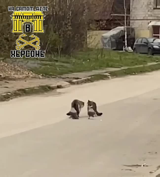 ������� �����. � ����� ��� ������� �������� ���� �������� �����, �� ������������� ������. ��� � ����� ������� � ������� �� ��������