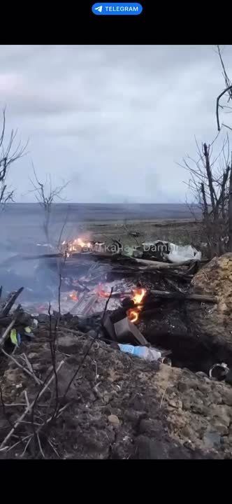 ���������� ������� ���������� ���� ������� ����� ������� � ���