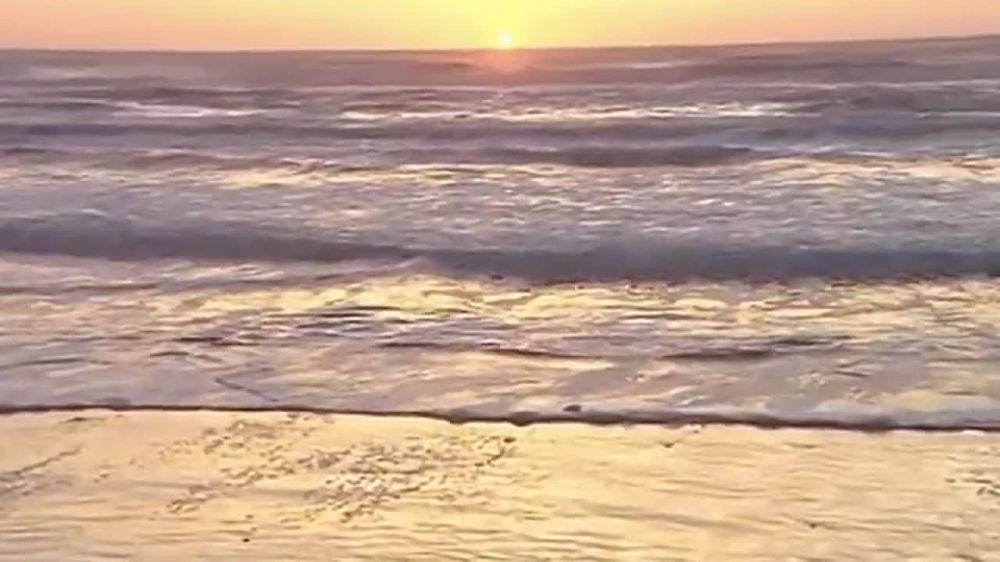 ������ ����� ������!. ���������� ��� ������� ��������� �� ������ ���