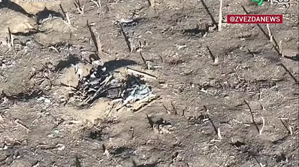 �� ���� ������ - ������ ������ ����������� � ���������� FPV-������ � ��������