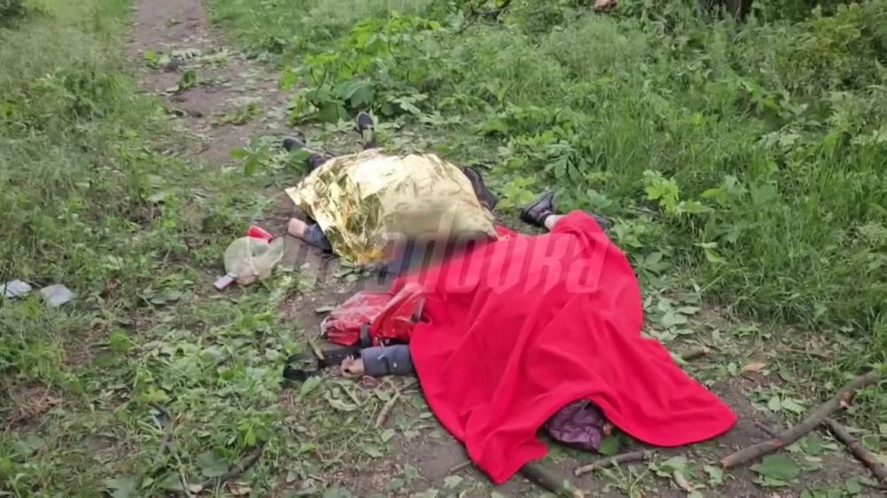 ��� ������� ������� ����� ��������� ��� � ���������� ������ ��� � ����� ������ ��������� �������, �� �� ������� ������ � ��������