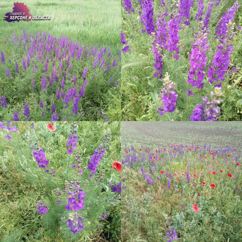 ������� ���������� �� � � ����������� ���������� ���������� � ����� ������