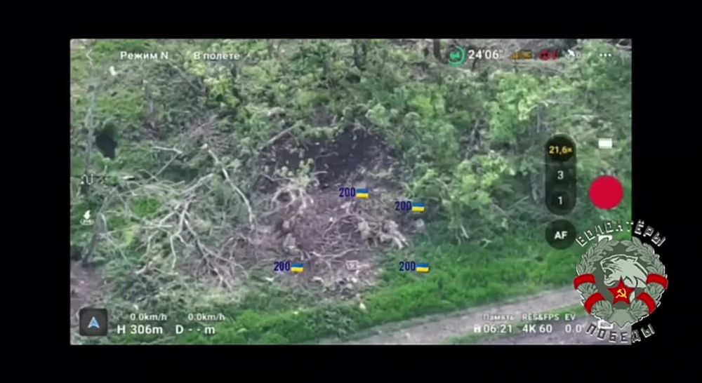 ����������� ���������� ������ � �� �113 � ������ ���� ������ ��������-����� ���������� �������