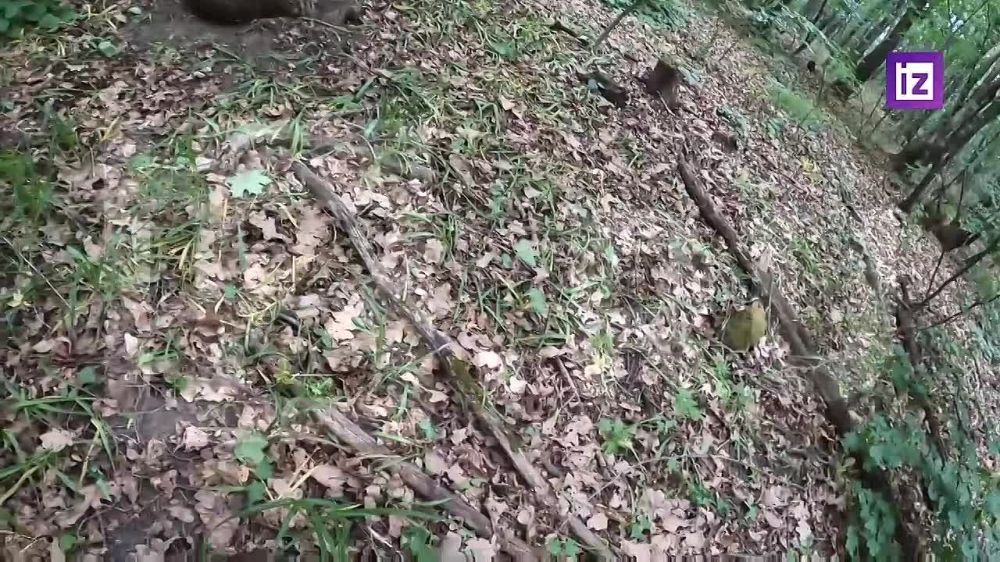 "�� ����� ������, ������ ��������!": ������� �� �� ����� � ���� ������ ������ ��� � ���� �������� ��� ���������