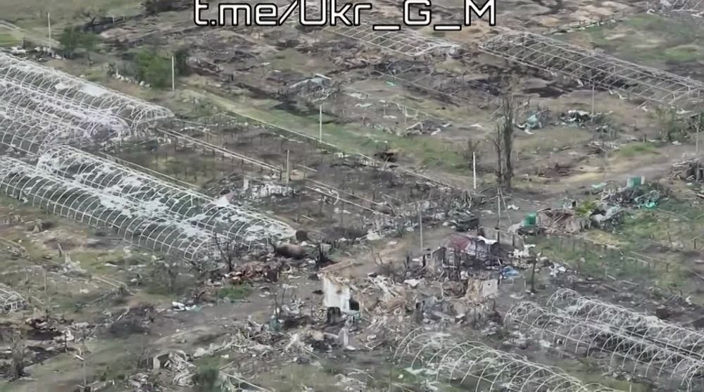 ���������� � �.�. ������, ���������� �����������