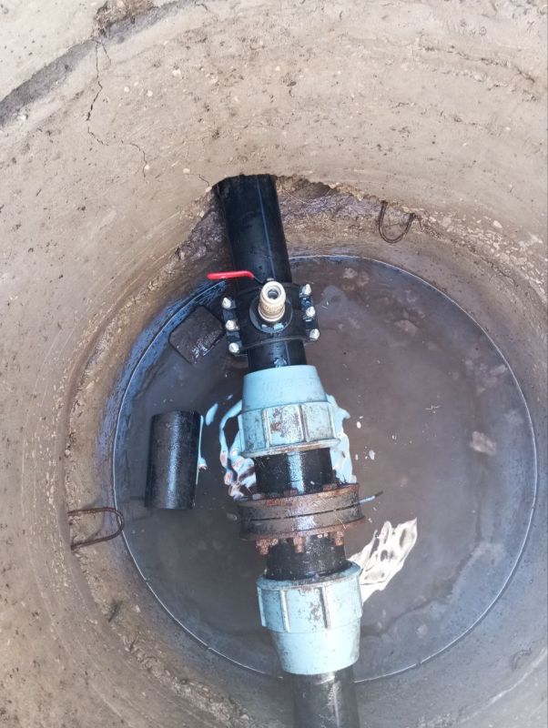 ��������� �����: � ���������� ������� ����������� ������ ������������ "�������������" ���������� ������ �� ������������ �������������� ������������� � �������������