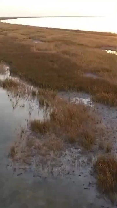 ����� � ���������� �������