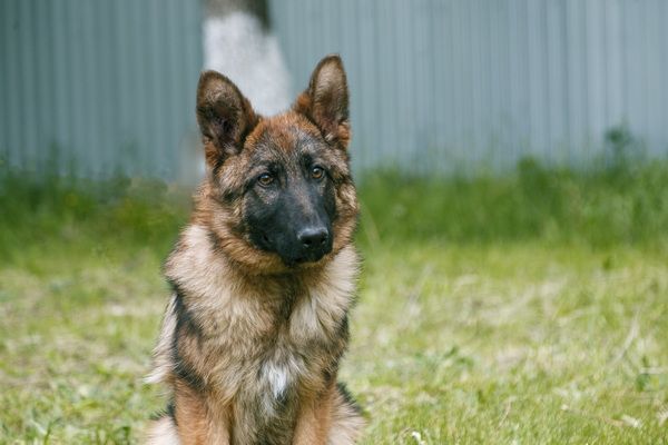 10 ������ �������� ������� �� ���������� ��������� ��-9 ����� ������ �� ����������� ������� ����������� ����� ������ � ���������� ������� � ���