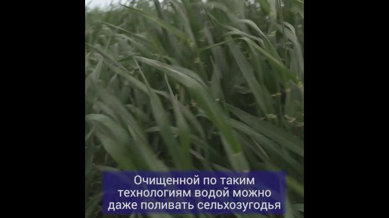 ������ ����������: ��� �������� ����������� ����������� �������� ����������, ������� �������� � ������� ����� ���������� ���? ��� ��� ���������� "���� ����������"