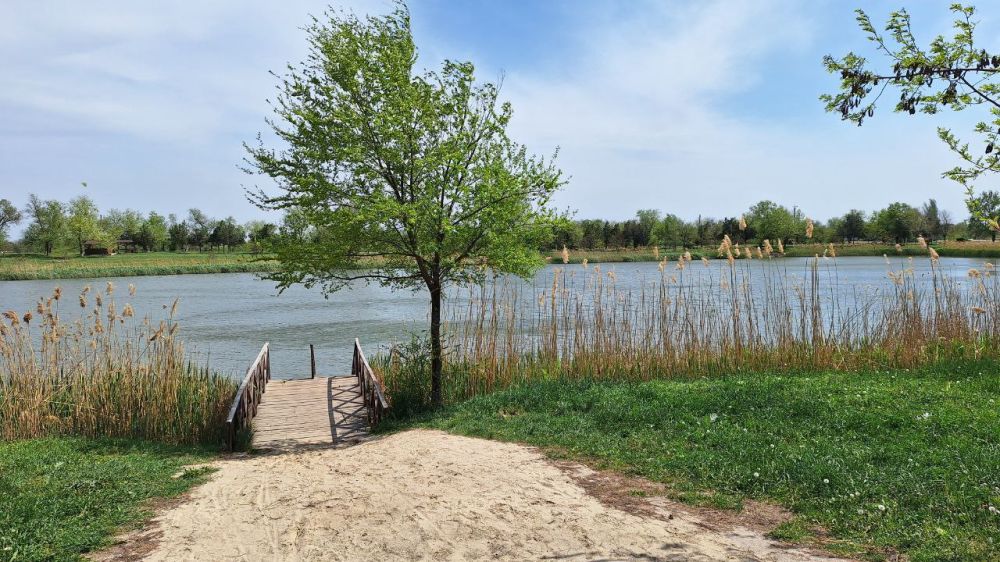 ������� ������ ����������� ������!