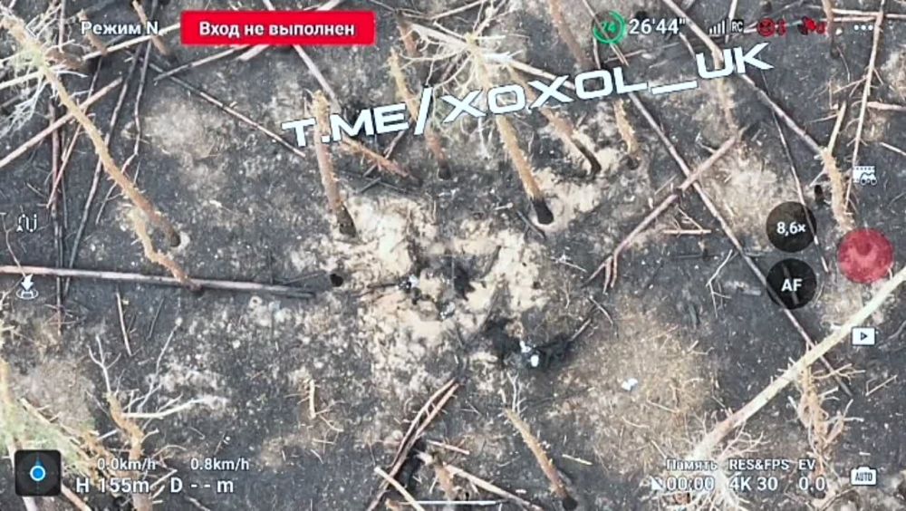 ����������� ������ ���������� �� �������� ����������