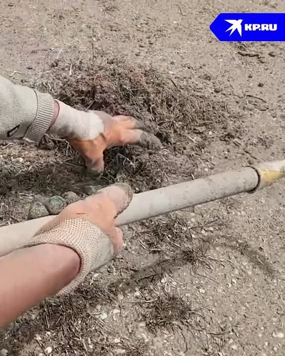 � ��������� �������� ����� ������� ������ ���������