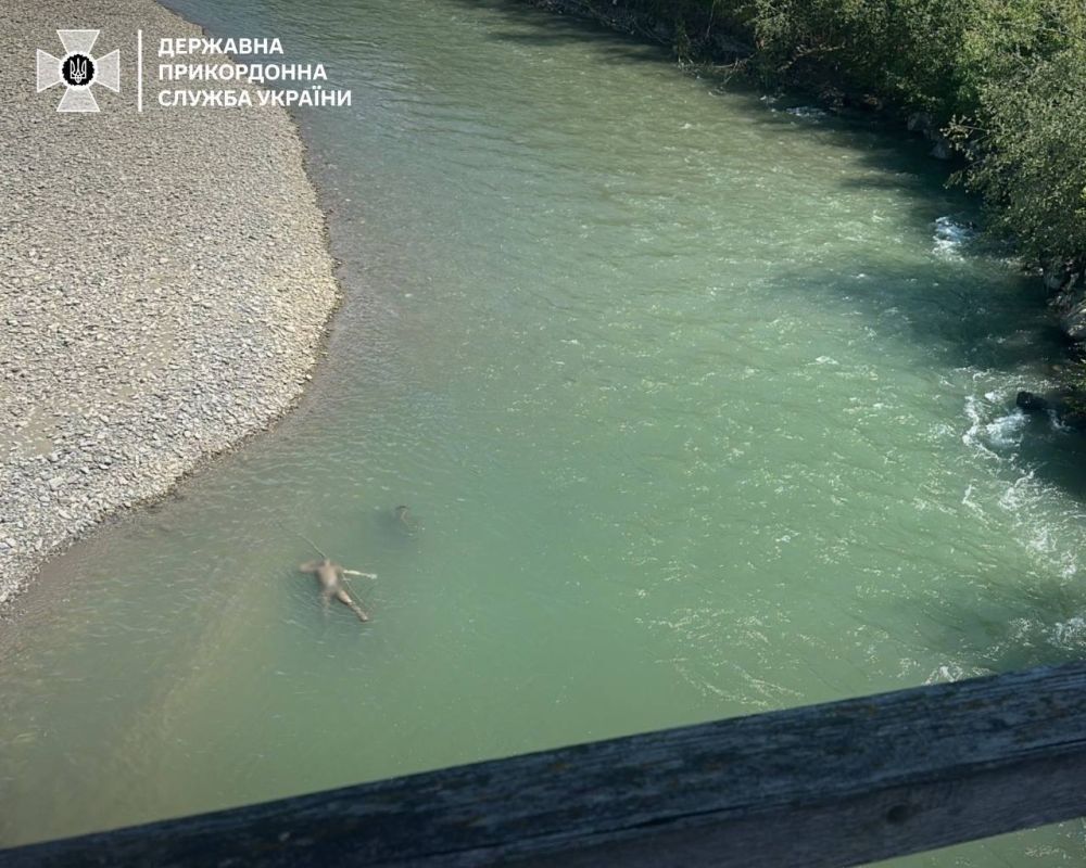 ��������� ������ �� ����������� ���������� �� ���� ���������� ����� � ��� 30-�