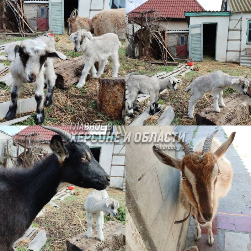 �������� ������� �� ���������� �������� � ������� � �������