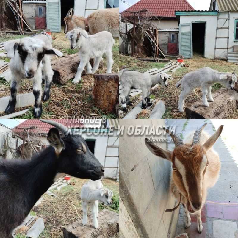 �������� ������� �� ���������� �������� � ������� � �������