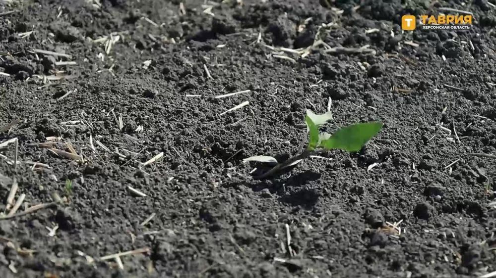 � ���������� ������ ����������� ���������� ���������� ������