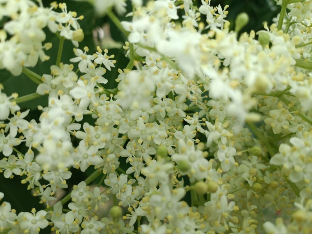 ���� � ��������. ���� �������� � ������������� ������� �� ���� �������, ��� ����� ������ ������! ����� ��� ������� ��� �������� ����