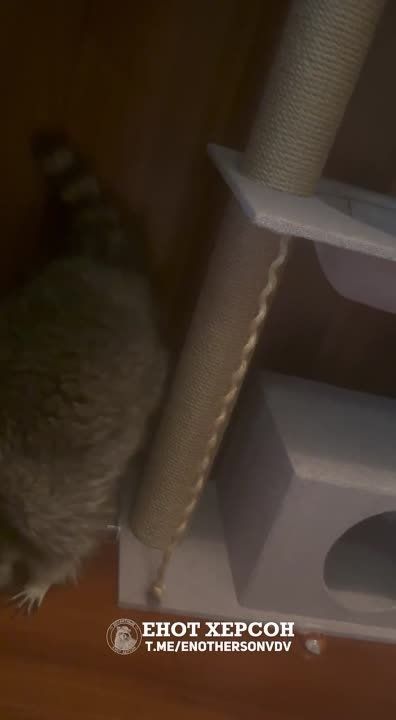 ��������� ��������������