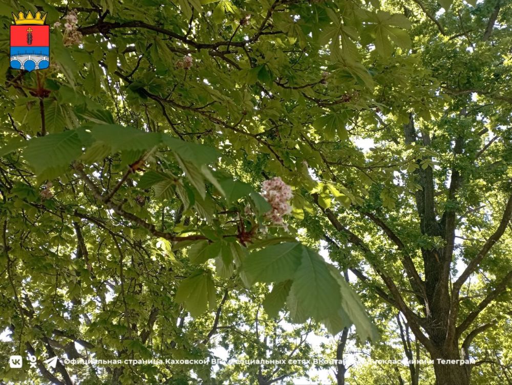 ������ ����, �������!. @VGA_Kakhovka